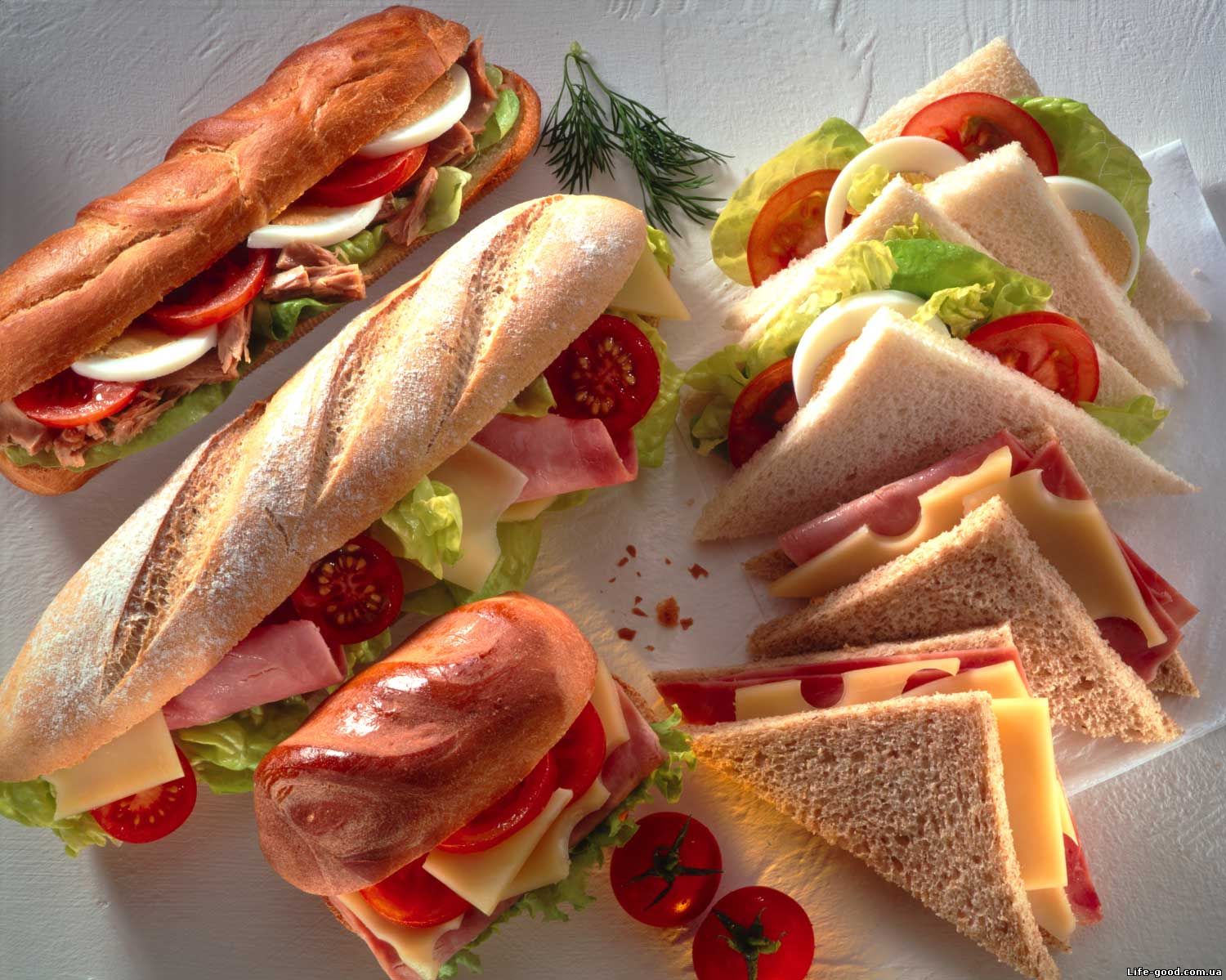Сэндвичи Испания. Бутерброд с испанской Тортильей. Бокадильос или испанские бутерброды. Картинки испанский бутерброд. Выпечка номер 1 сэндвичи